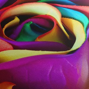 Kép - Színes rózsa (120x50 cm)