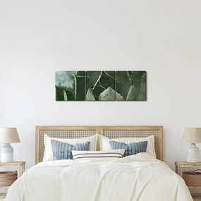 Kép - Zöld agávé (órával) (90x30 cm)