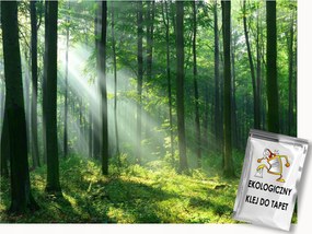 Fotótapéta Flizelina Tájkép Természet Erdő Fák Zöld Nap 200x140 ragasztó