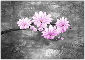 Poszterek 100x70 Magnólia virágok