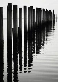 Poszter 59,4x84,1cm Víz és fa ritmus