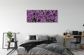 Canvas képek lila virágok 140x70 cm