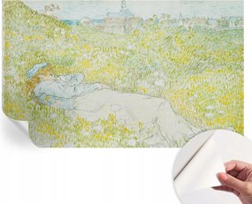 Öntapadós tapéta Fali furnér 3D hatás Tavaszi pihenés 416x254 cm