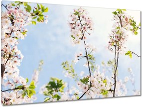 Vászonkép 120x80 Virágok