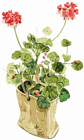 Festés számok szerint kép kerettel "Muskátli" 40x50 cm