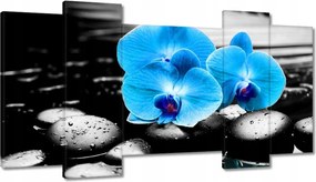 Vászonkép 120x65 Kék orchidea