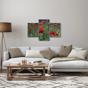 Kép - Rét mák virággal (90x60 cm)