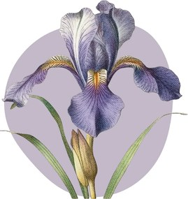PIPPER. Textil falmatrica "Lila írisz"