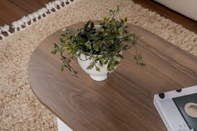 Sable velencei dió–fehér dohányzóasztal