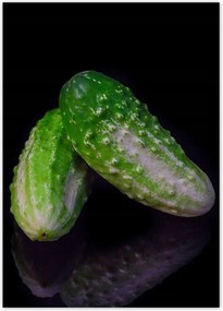 Poszterek 50x70 Zöld földuborka