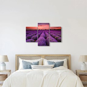 Kép - Levendula mező (90x60 cm)