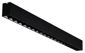 Linelio Points LED