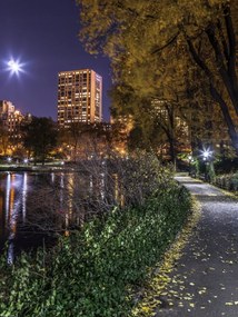 Poszter 30x40cm Esti kilátás a New York-i Central Parkra 8, Assaf Frank