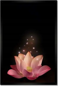 Poszter keretben 40x60 Rózsaszín lótuszvirág