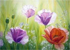 Kép - Pipacsok (70x50 cm)