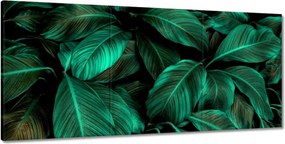 Vászonkép 210x100 Gyönyörű türkiz levelek