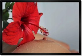 Poszterek keretben 60x40 Borotválkozás Akt Meztelenség Szex