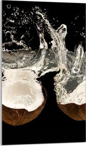 Üveg Vágódeszka 30x52 Kókusz a Konyhába