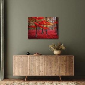 Kép - vörös erdő (70x50 cm)