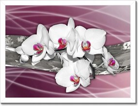Poszterek keretben 40x30 Fehér orchideák rózsaszín alapon