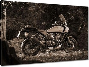 Vászonkép 90x60 Harley Davidson Motorkerékpár