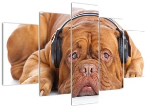 Kép egy kutya fejhallgatóval (150x105 cm)