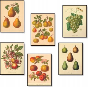 Poszterek Vintage Poszter Szett 6 db-os A4 Nappali Poszter *Sok minta*