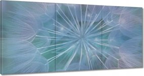 Vászonkép 120x60 Pitypang Virág Virágok