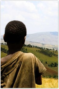 Poszterek 80x120 Ejtőernyős repülés