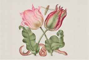 Divatos Flizelin Fali Tapéta Furnér Tulipán Szépség 104x70 Ragasztó