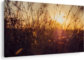 A mező képe naplementekor (90x60 cm)