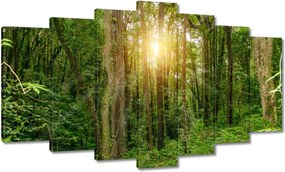 Festmények 140x80 Tájkép park