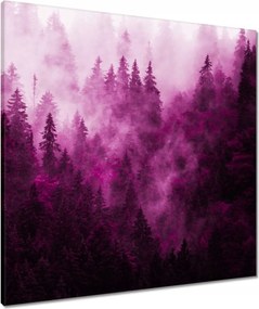 Vászonkép 70x70 Tájkép Rózsa Hegyek Köd