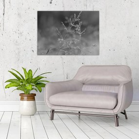 Üveg kép - Vidéki rét (70x50 cm)
