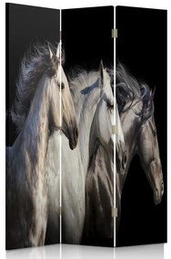 Gario Paraván Három ló Méret: 110 x 170 cm, Kivitelezés: Klasszikus paraván