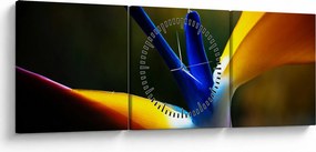 Kép - Egzotikus virág (órával) (90x30 cm)