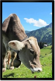 Poszterek keretben 40x60 Alpesi tehenek