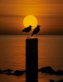 Poszter 50x65cm Beszélgetések alkonyatkor