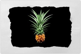 Poszterek 90x60 Ananász