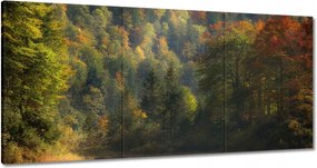 Festmények 180x90 Erdei táj Kilátás