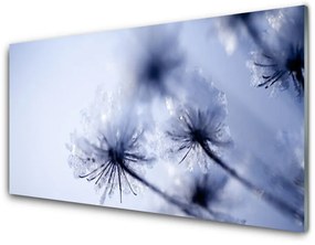 Fali üvegkép pitypang növény 100x50 cm