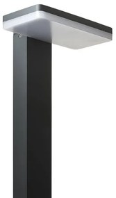 RED - Design Rendl - R12515 - LED Kültéri lámpa RINA LED/12W/230V IP44