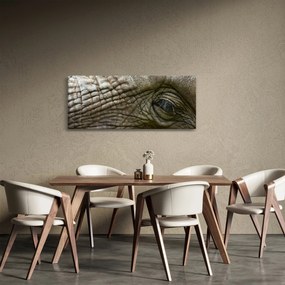 Kép - Közelkép az öreg elefánt szeméről (120x50 cm)