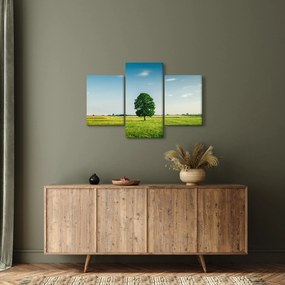 Egy fa képe egy rét közepén (90x60 cm)