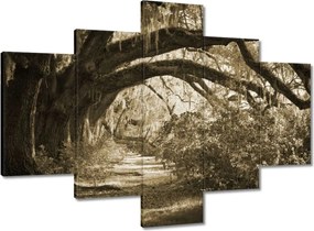 Vászonkép 100x70 Tölgyek a Szépia parkban