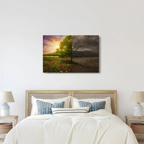 Kép - Életciklus (90x60 cm)