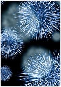 Poszterek 70x100 Vírus Baktériumok Makro