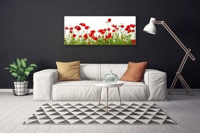 Vászonkép falra Pipacsok virágok Mező Természet 120x60 cm