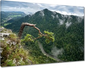 Festmények 100x70 Tájkép Sólyomkő