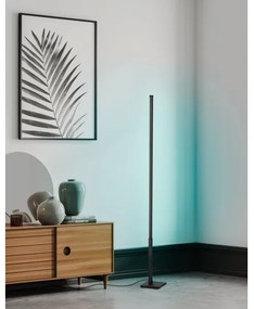 Eglo 75654 - LED RGB Dimmelhető állólámpa LED/13,5W/230V 2700-6500K + távirányító